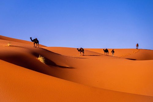 Sahara-Wanderlust-Merzouga-to-Marrakech